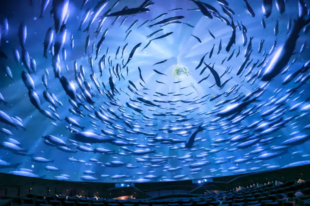 A scene is projected on the massive screen of the...