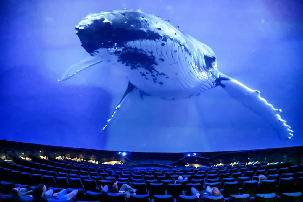 A scene is projected on the massive screen of the...