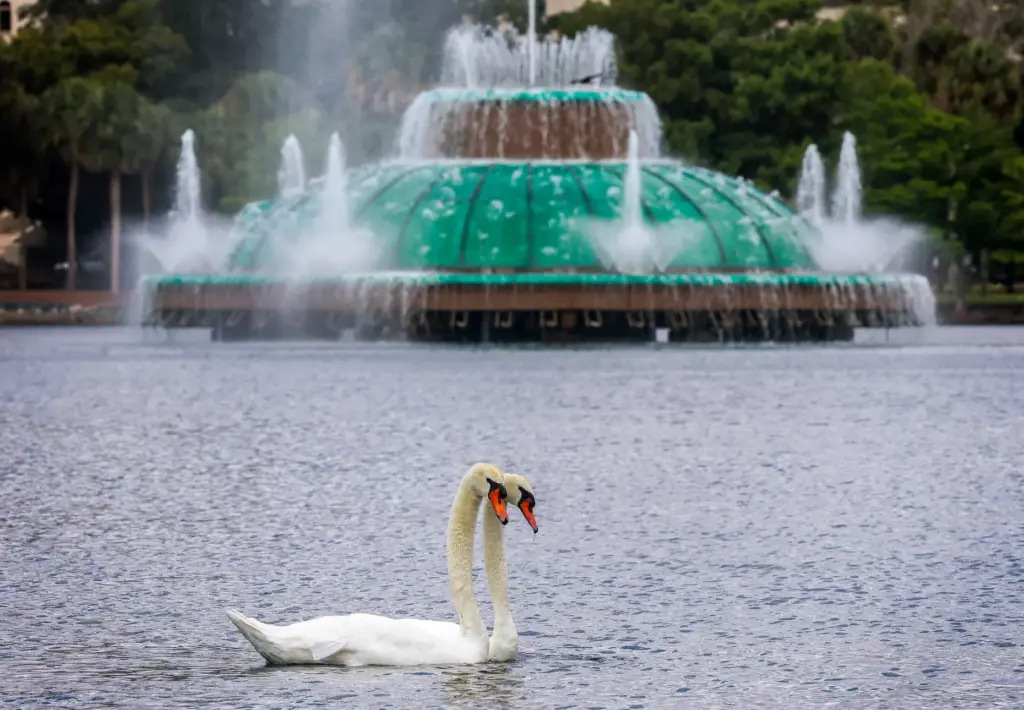 A pair of swans pass in front of the iconic...