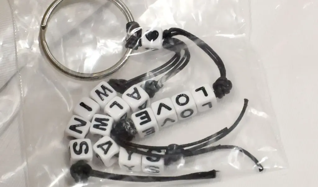 Braceletes are among artifacts and items collected after the PULSE...