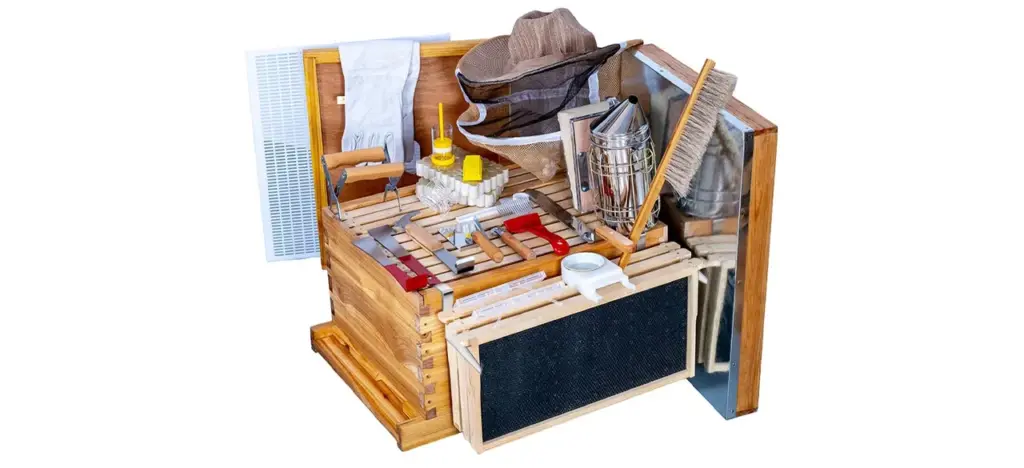 MayBee Beehive Starter Kit