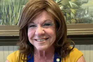 Disqualification baffles Stark, St. Cloud Republican, but state cites missing papers