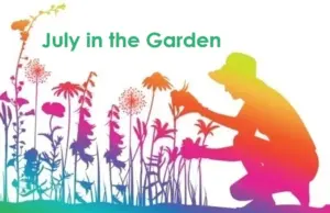 Are you a Central Florida gardener? Here’s your to-do list for July