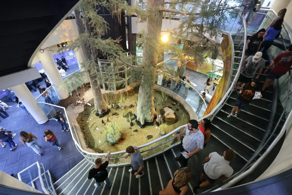 Guests walk to the bottom level during Orlando Science Centerâs...