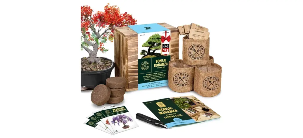 Garden Republic Bonsai Starter Kit