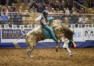 157th Silver Spurs Rodeo kicks off summer in Kissimmee with bucking bulls and more