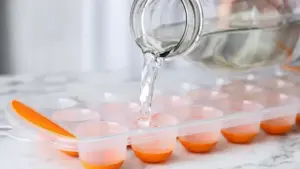 Best Ice Cube Tray