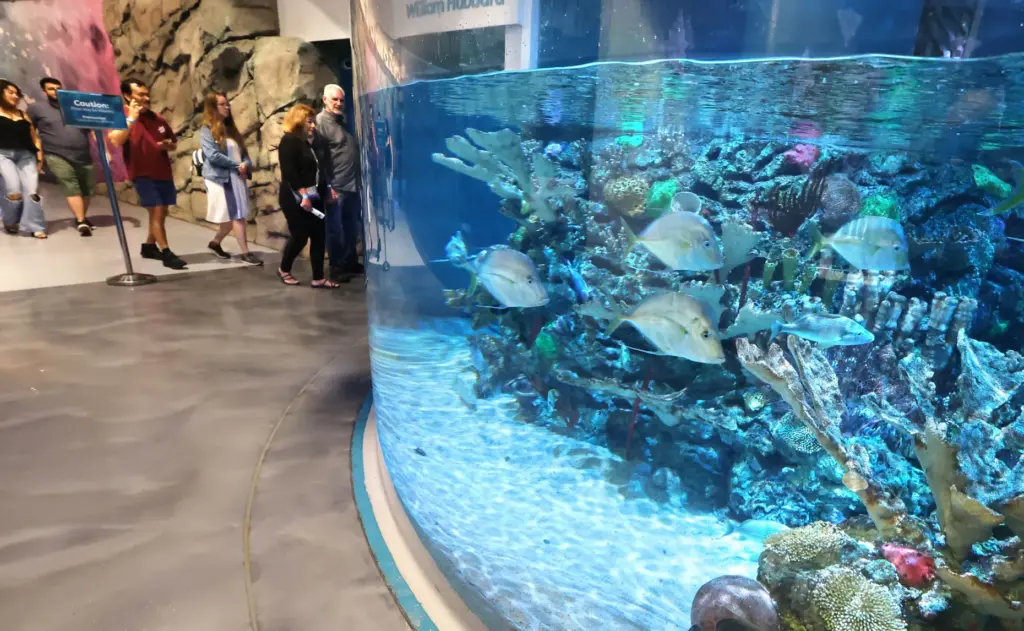 Guests view an aquarium during Orlando Science Centerâs Science Night...