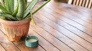 How to keep summer bugs off your patio