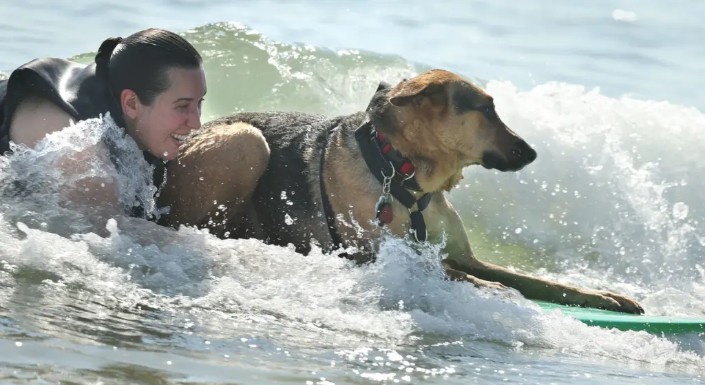 Veteran Virginia White and her dog 