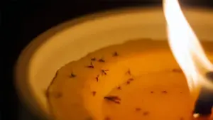 Keep bugs at bay with the 7 best citronella candles