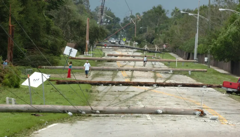 Utility poles blown over by Hurricane Charley lie across Lake...