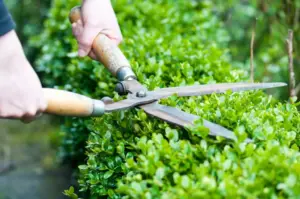 Ask a real estate pro: Should I let landscaper use my yard to access neighbor’s property?