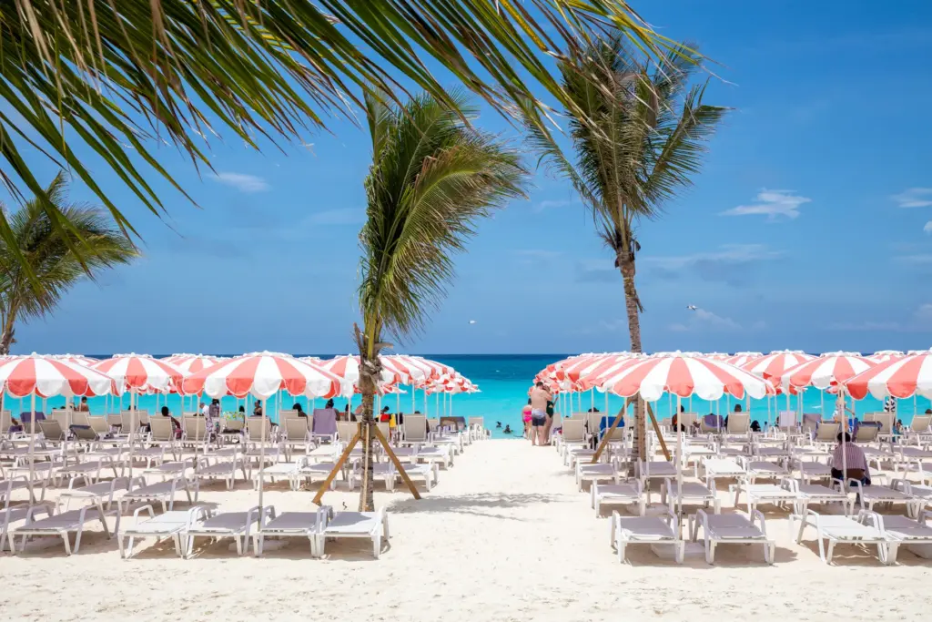 Thousands of new beach umbrellas and chairs are part of...