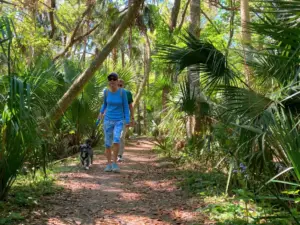 Seminole leaders warn of drastic cut in services if voters approve tax referendum