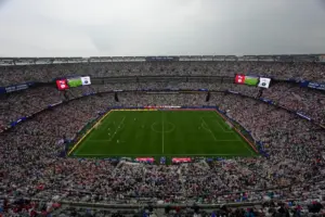 FIFA selling the field to be used for the World Cup final in $450 pieces