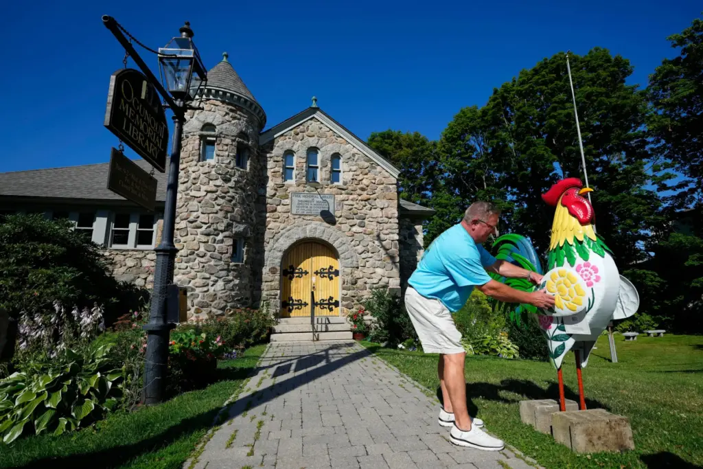 David LeBlanc sets up a rooster in front of the...