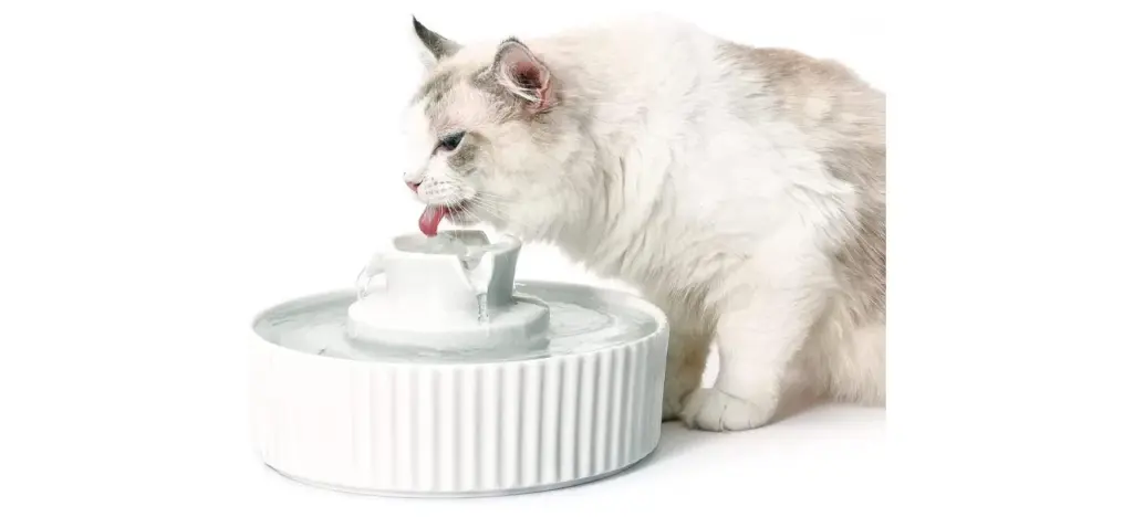 Cepheus 360 Ceramic Pet Fountain