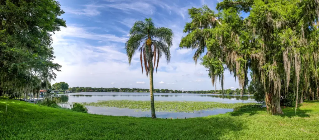 A view of the shoreline and boathouse facing Lake Osceola...