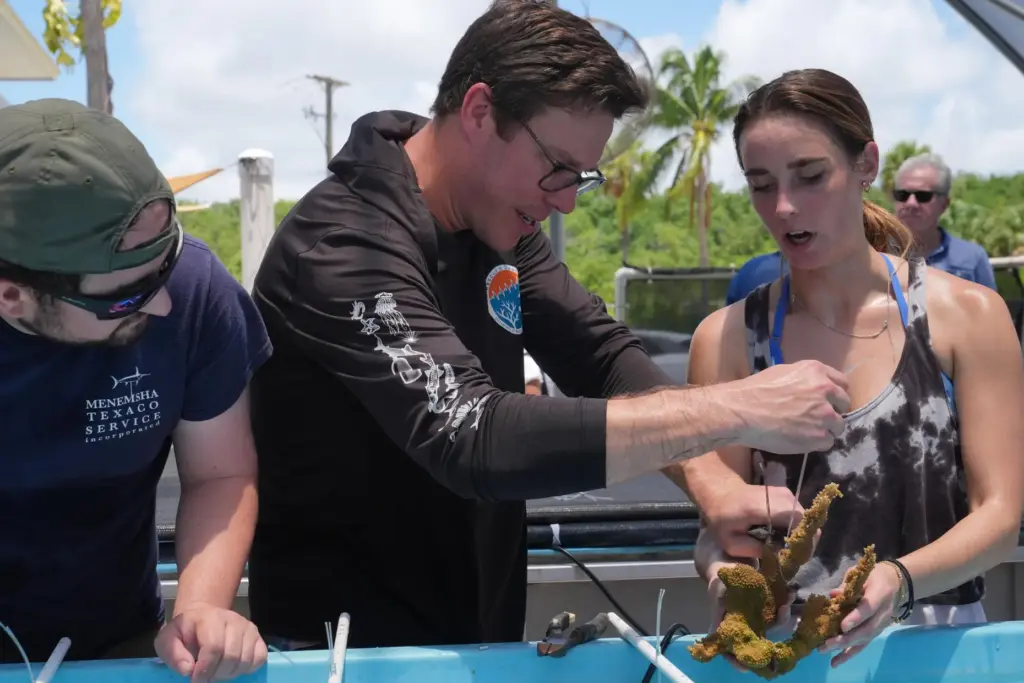 Senior research associate Hesley Dalton, center, demonstrates how to tie...