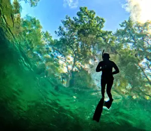 10 Central Florida state parks to visit during free-admission July 4 weekend