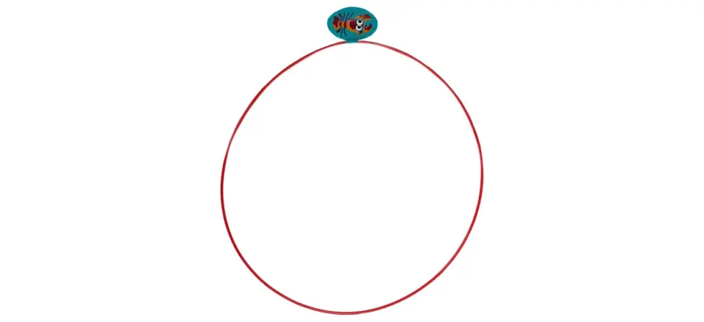 Water Sports Swim-Thru Rings