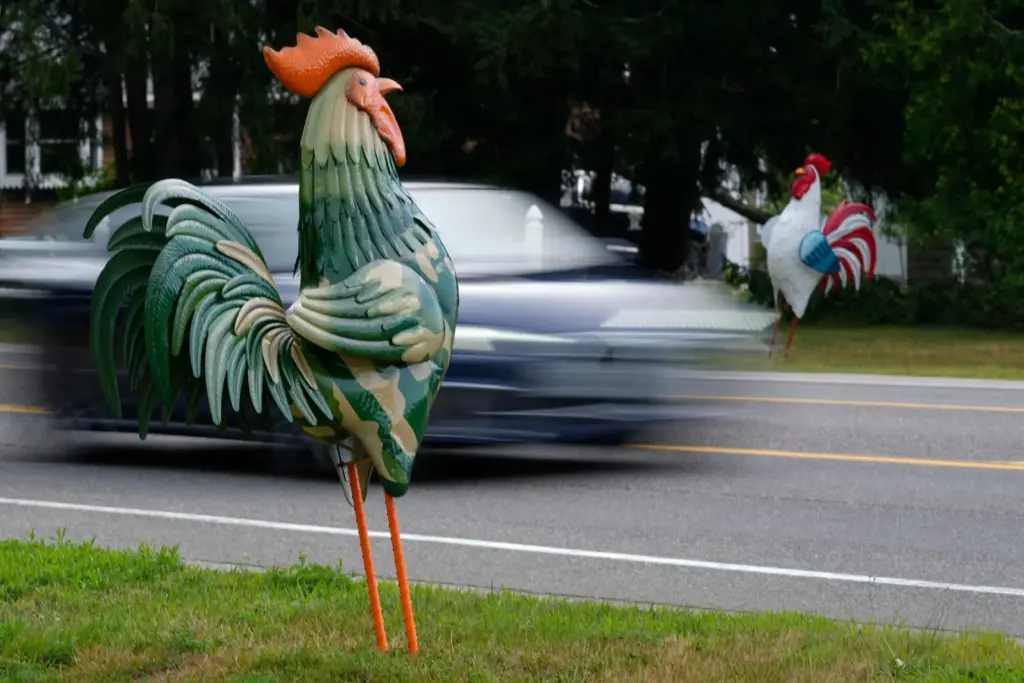 Tin roosters flank Rte. 1 in Wells, Maine, Wednesday, July...