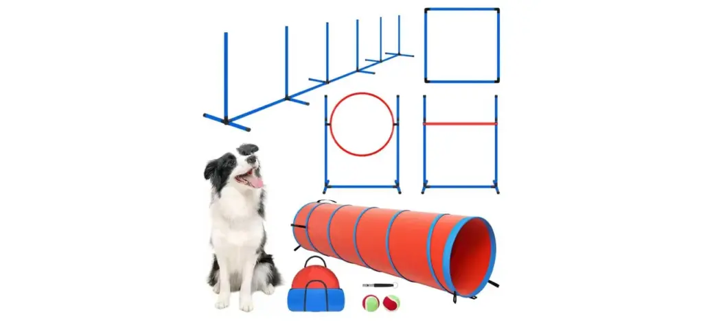 Polar Aurora Dog Agility Training Course Kit