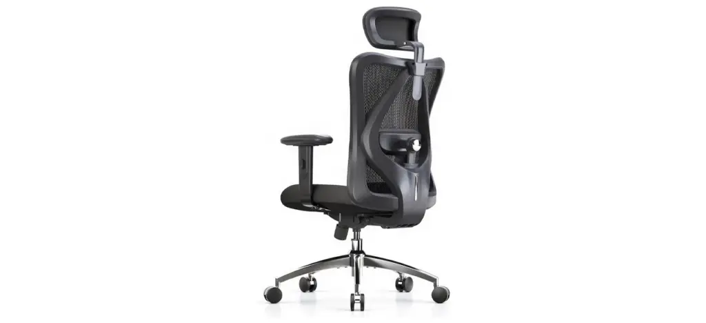 SIHOO Office Chair Ergonomic Office Chair