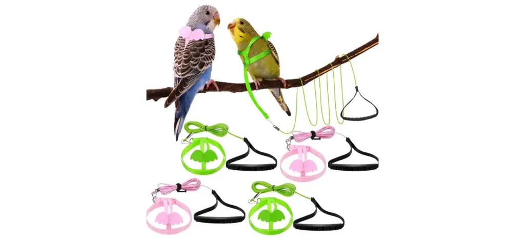 Shappy Bird Harness and Leash