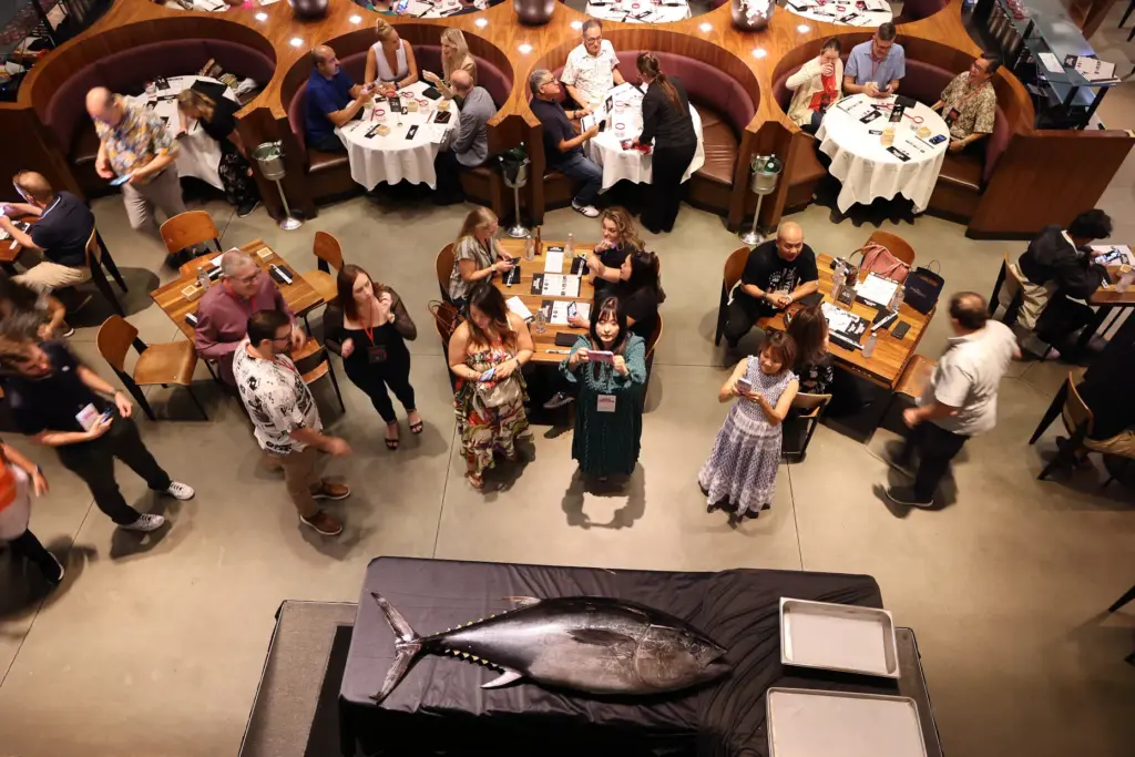 Guests photograph a huge tuna during the Sushi Showdown at...