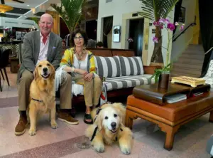 Miami luxury hotels have found their newest VIP — the pampered family dog