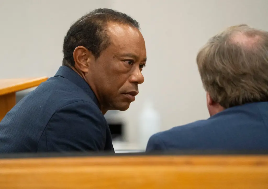 Tiger Woods appears in County Judge Darren Steele's courtroom for a plea hearing.
