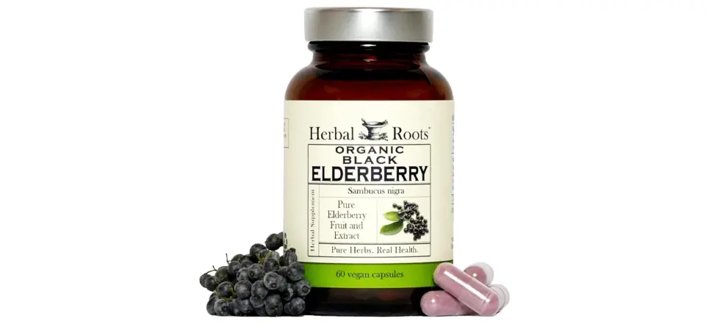 Herbal Roots Black Elderberry Capsules