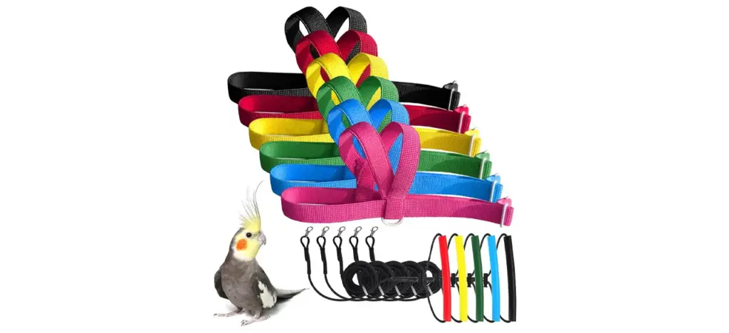 Vanfavori Adjustable Bird Harness And Leash