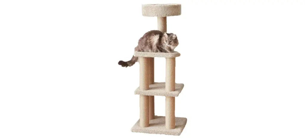 Amazon Basics Cat Tree Tower