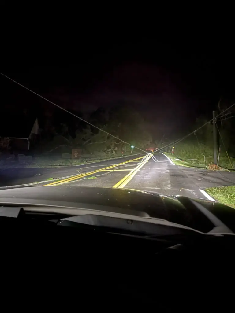 Hurricane Isaias knocked down trees and downed power lines as...