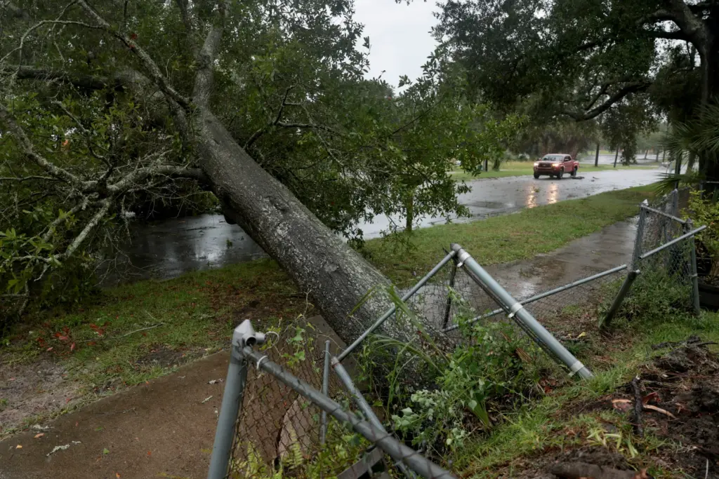 A fallen tree blocks a street as wind and rain...