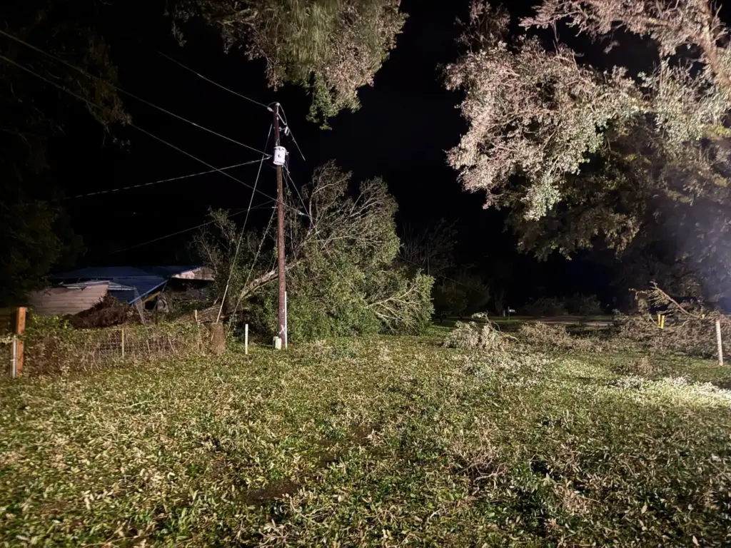 Hurricane Isaias knocked down trees and downed power lines as...