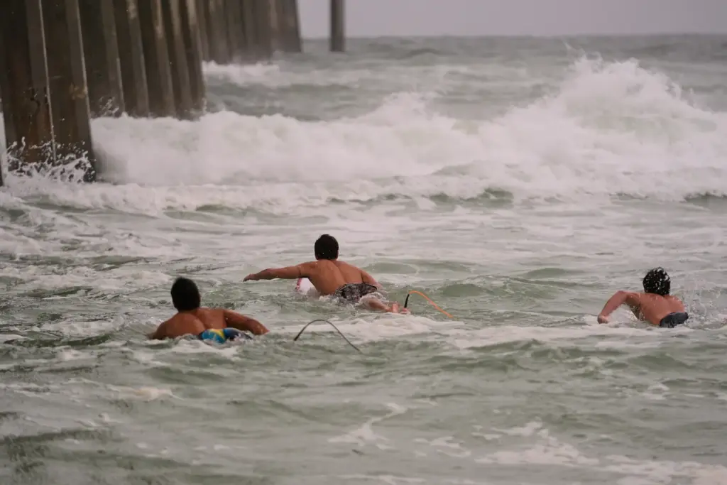 Surfers swim out to waves as Hurricane Isaias approaches Pensacola...